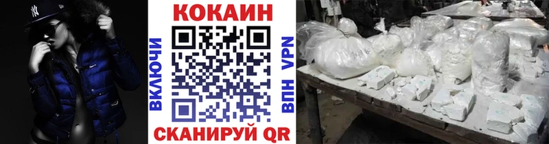 КОКАИН Fish Scale  Новоржев 