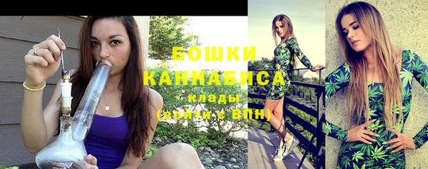 бошки Бородино