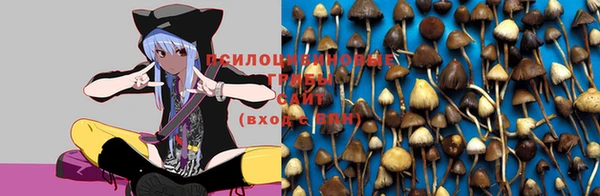 бошки Бородино